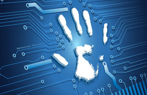 M2SYS-Biometric-SDK-Solutions-495x321
