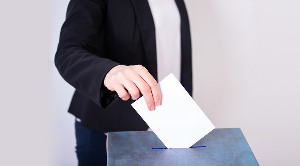 true-voter